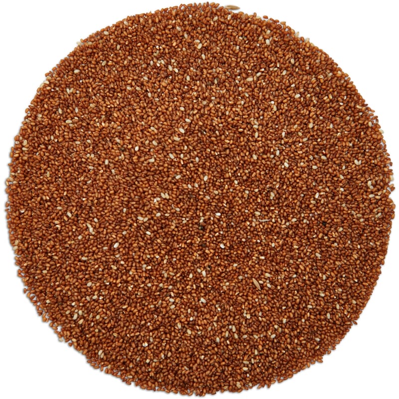 Teff graan - Image 2